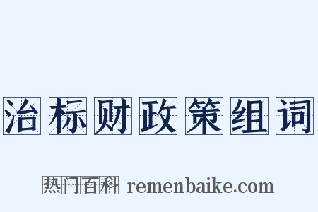 治标财政策组词是什么意思的图片